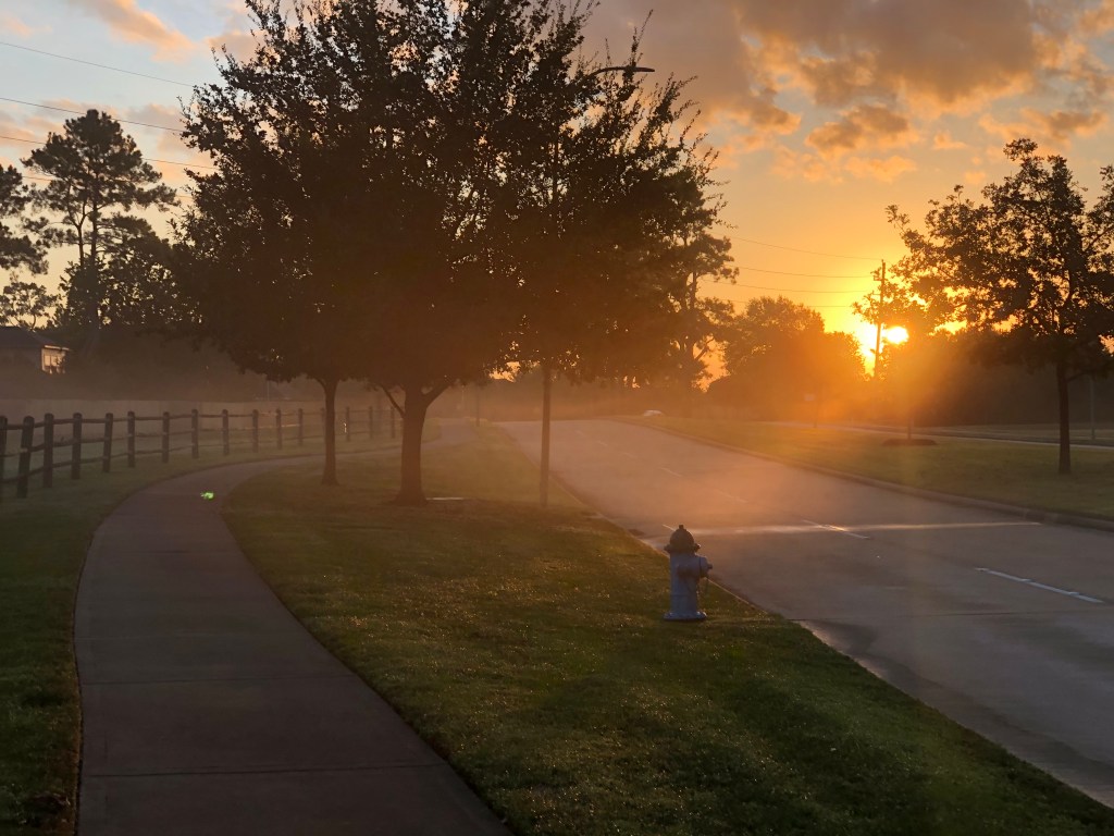 morning walk, gratitude, health, neighbor, habit